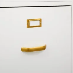 Dixie 2 Drawer Cabinet Green - Buylateral -Buylateral Shop GUEST 9e9469de 446f 4532 8c80 36462f11c814