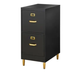 Dixie 2 Drawer Filing Cabinet - Buylateral -Buylateral Shop GUEST a6c30278 e9d2 483a b366 845bb9afa6b5