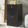 Wilson 2 Drawer Filing Cabinet - Buylateral 1 Wilson 2 Drawer Filing Cabinet - Buylateral -Buylateral Shop GUEST f634b1b7 9d09 4518 8987 8ff83967a748